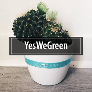 YesWeGreen ou comment consommer local